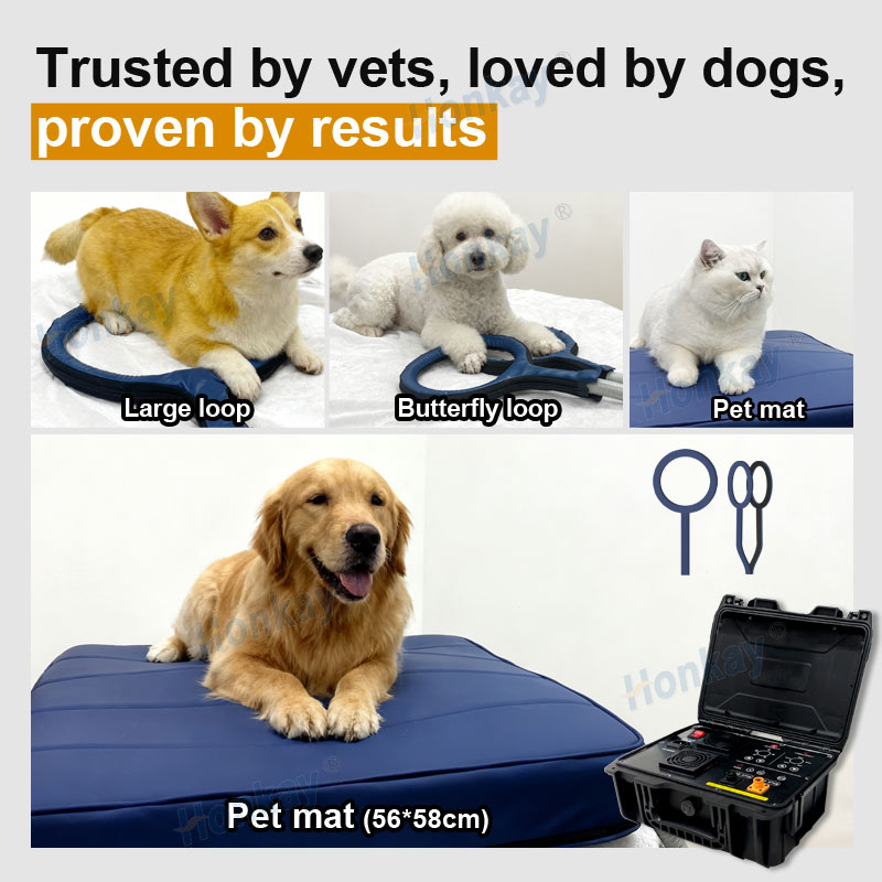 Personal Pet Care PEMF Device  - огляд і ціна Health Wellness & Nutrition Center Llc