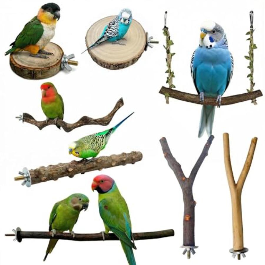 8PCS natural wood bird perches - огляд і ціна Health & Wellness Focus