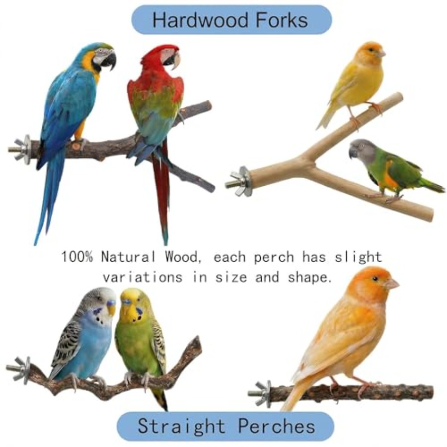 8PCS natural wood bird perches - огляд і ціна Health & Wellness Focus